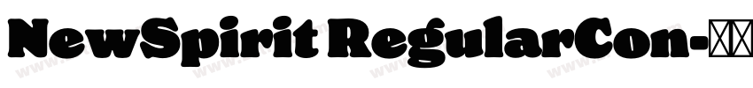 NewSpirit RegularCon字体转换